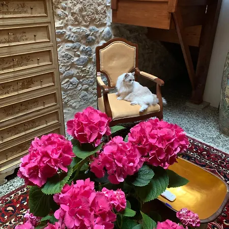 Casa Doranda Vegueta * 라스팔마스